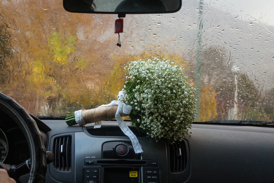 The Science of a New Car Smell