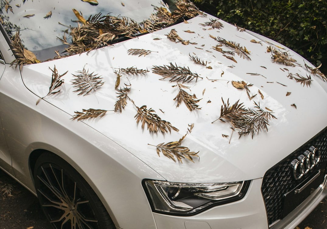 Rain and Your Car